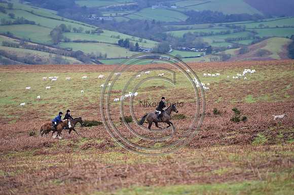 RadnorWestHereford_Hunting_PN24_13972