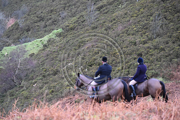 RadnorWestHereford_Hunting_PN24_13974