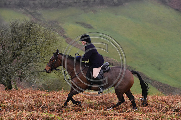 RadnorWestHereford_Hunting_PN24_13980