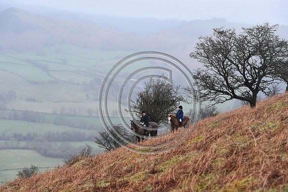RadnorWestHereford_Hunting_PN24_13981
