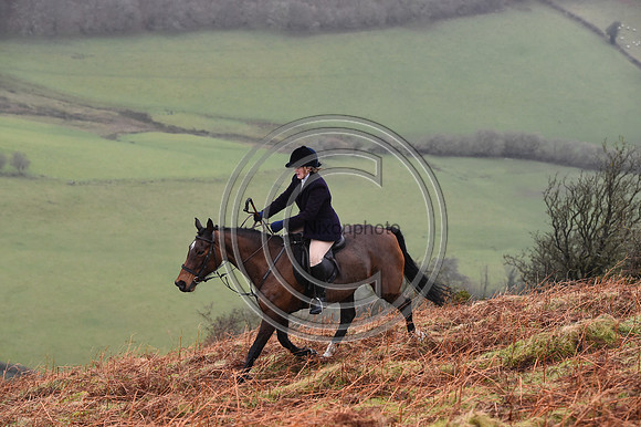 RadnorWestHereford_Hunting_PN24_13979