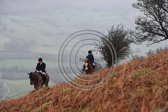 RadnorWestHereford_Hunting_PN24_13986