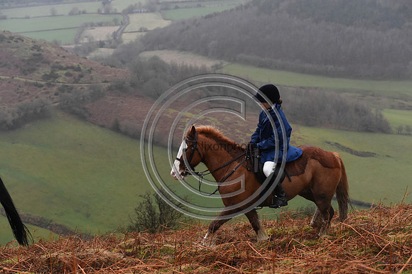 RadnorWestHereford_Hunting_PN24_13992