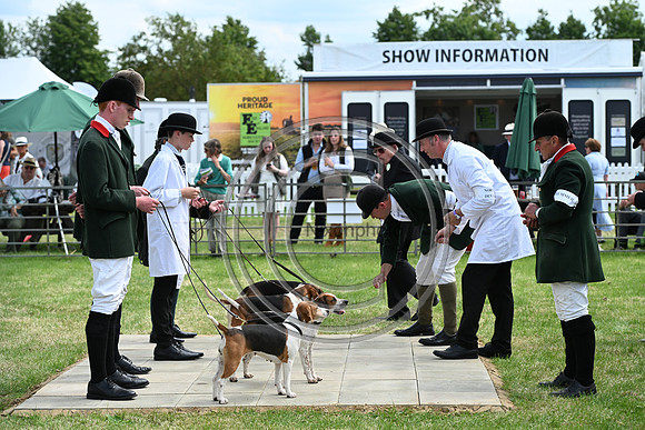 Festival of Hounds 2024