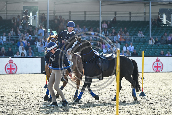 DAKS_PC_RWHS25_P190003