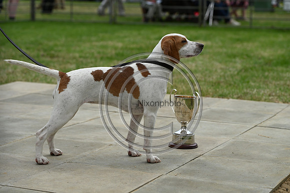 Festival of Hounds 2024