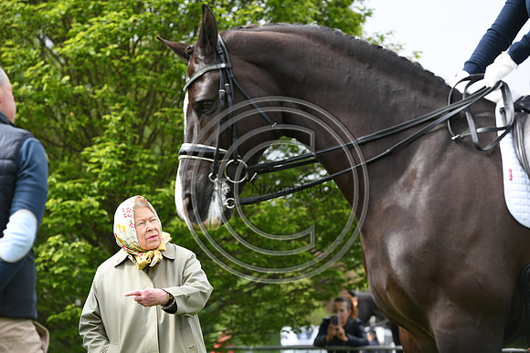 Valegro_RWHS_PN19_13018