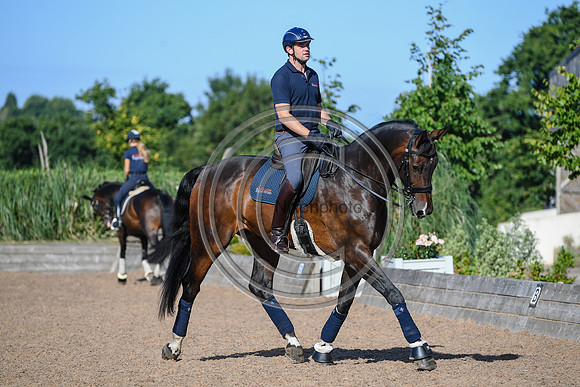Collective Equestrian