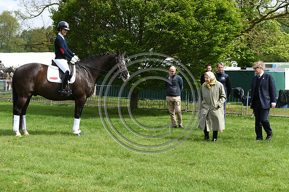 Valegro_RWHS_PN19_12897