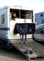 OlympicHorses_08KH271