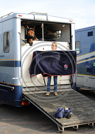 OlympicHorses_08KH271