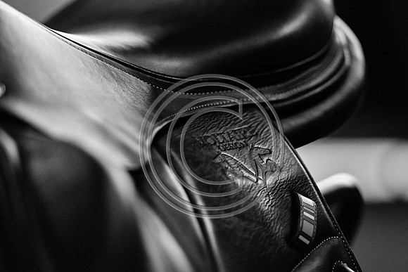 Voltaire_March_PN24_14383-2