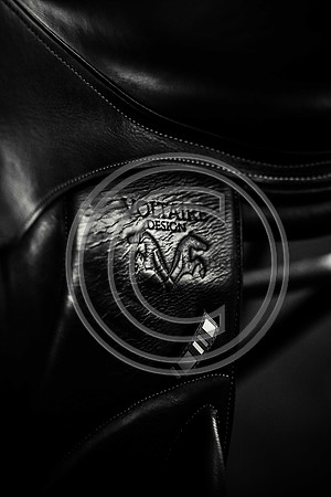 Voltaire_March_PN24_14381-2