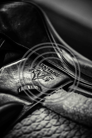 Voltaire_March_PN24_14362-2
