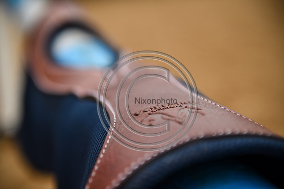 Voltaire_March_PN24_14351
