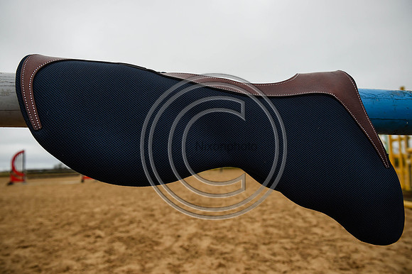 Voltaire_March_PN24_14346