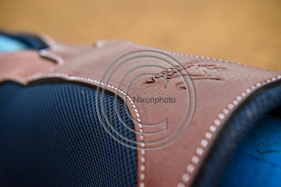 Voltaire_March_PN24_14349
