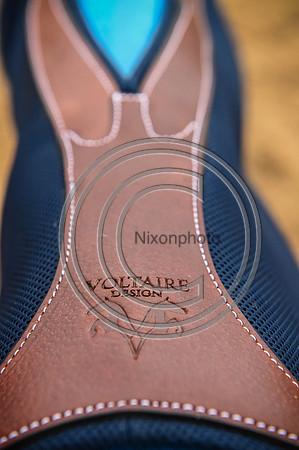 Voltaire_March_PN24_14343