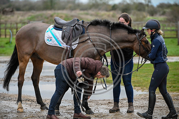 Voltaire_March_PN24_14495