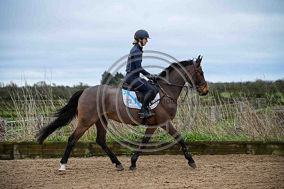 Voltaire_March_PN24_14480