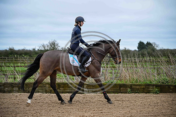Voltaire_March_PN24_14479