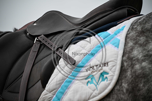 Voltaire_March_PN24_14477