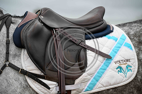 Voltaire_March_PN24_14474