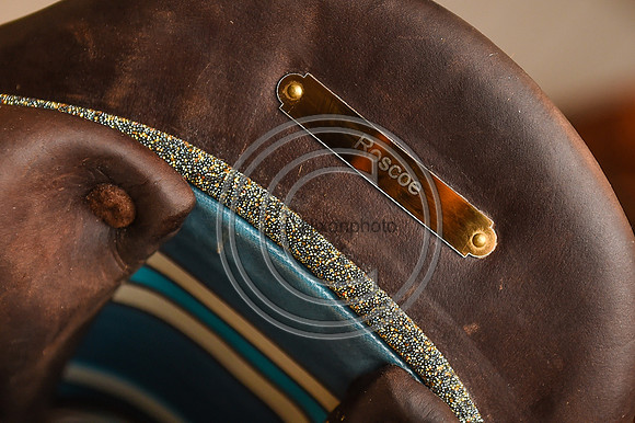 Voltaire_March_PN24_14324