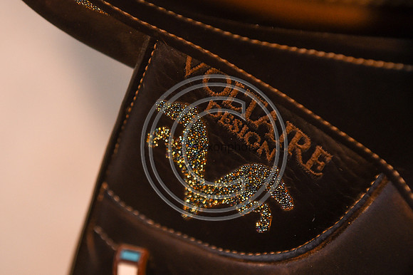 Voltaire_March_PN24_14321