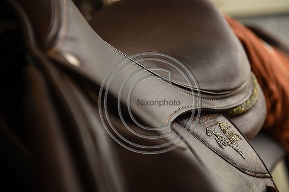Voltaire_March_PN24_14313