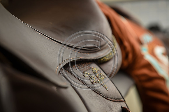 Voltaire_March_PN24_14312