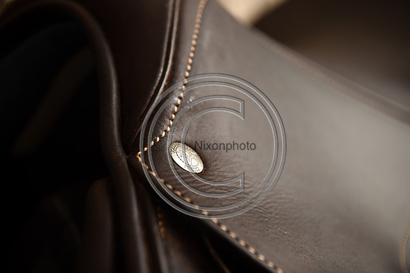 Voltaire_March_PN24_14311