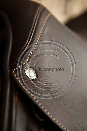 Voltaire_March_PN24_14310