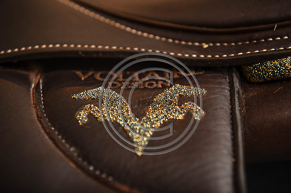 Voltaire_March_PN24_14307
