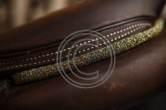 Voltaire_March_PN24_14308