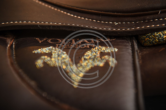 Voltaire_March_PN24_14305