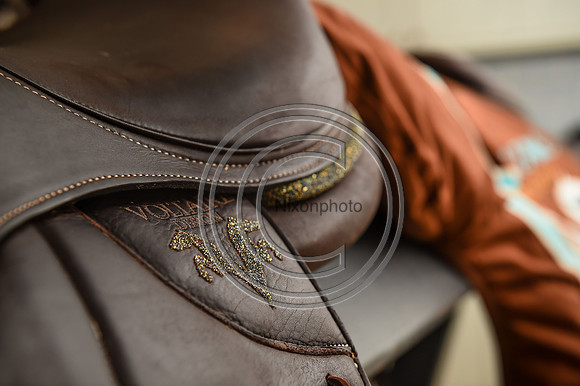 Voltaire_March_PN24_14302