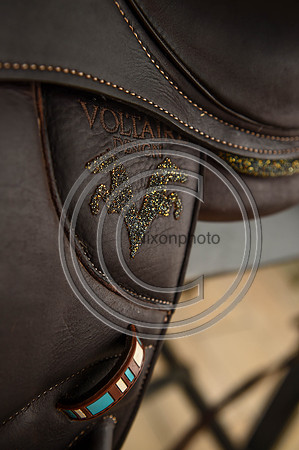 Voltaire_March_PN24_14299