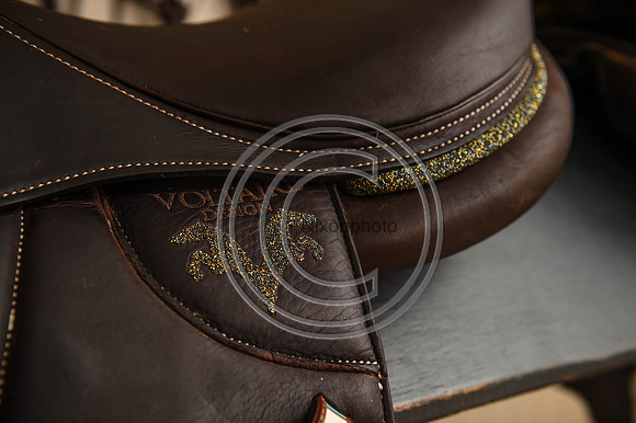 Voltaire_March_PN24_14296