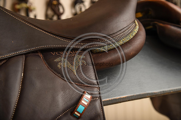 Voltaire_March_PN24_14297