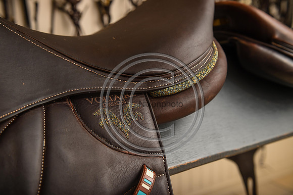 Voltaire_March_PN24_14295