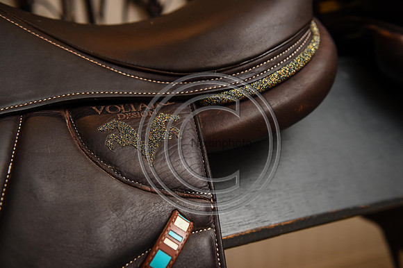 Voltaire_March_PN24_14293