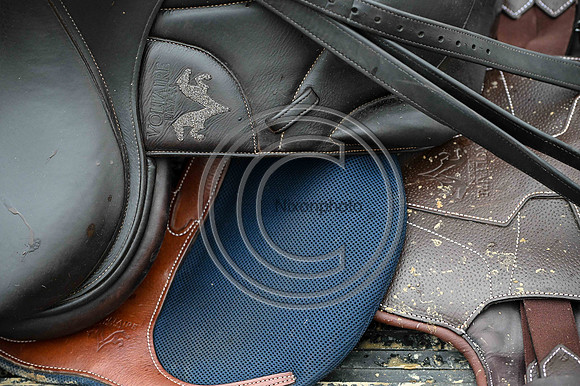 Voltaire_March_PN24_14469