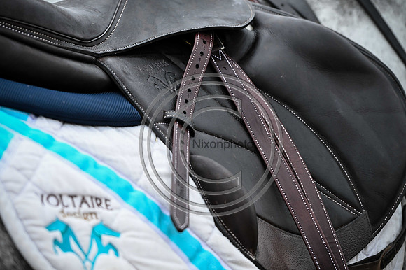 Voltaire_March_PN24_14470