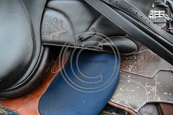 Voltaire_March_PN24_14292