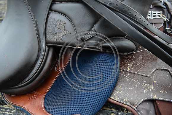 Voltaire_March_PN24_14291