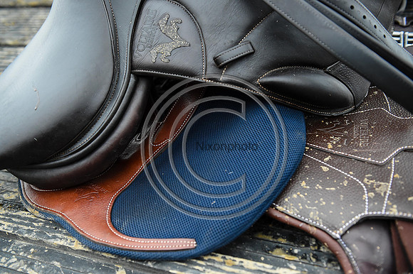Voltaire_March_PN24_14290