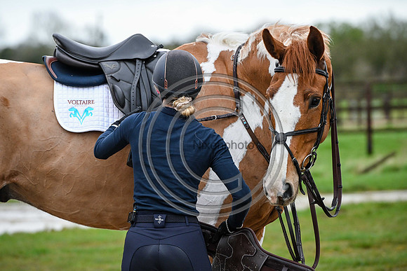 Voltaire_March_PN24_14465