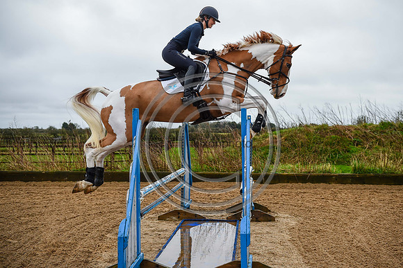 Voltaire_March_PN24_14277