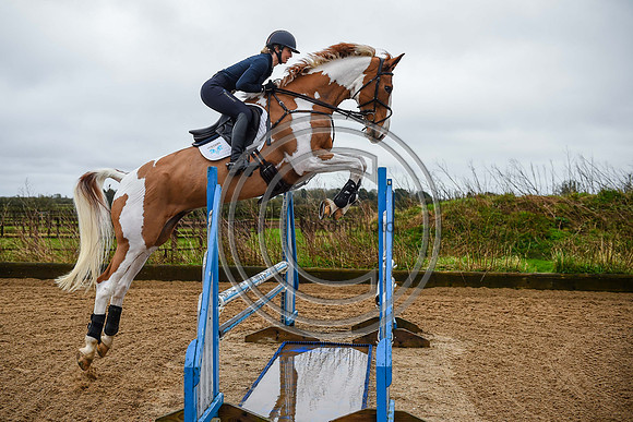 Voltaire_March_PN24_14276